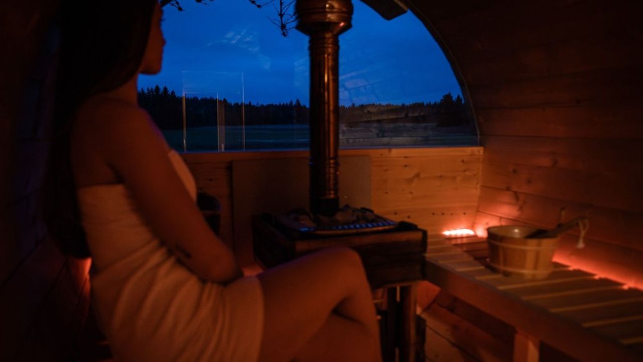 Abends, Rehe beobachten Abends, Rehe beobachten